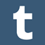 /wp-content/themes/ftstheme/images/tumblr_64.png