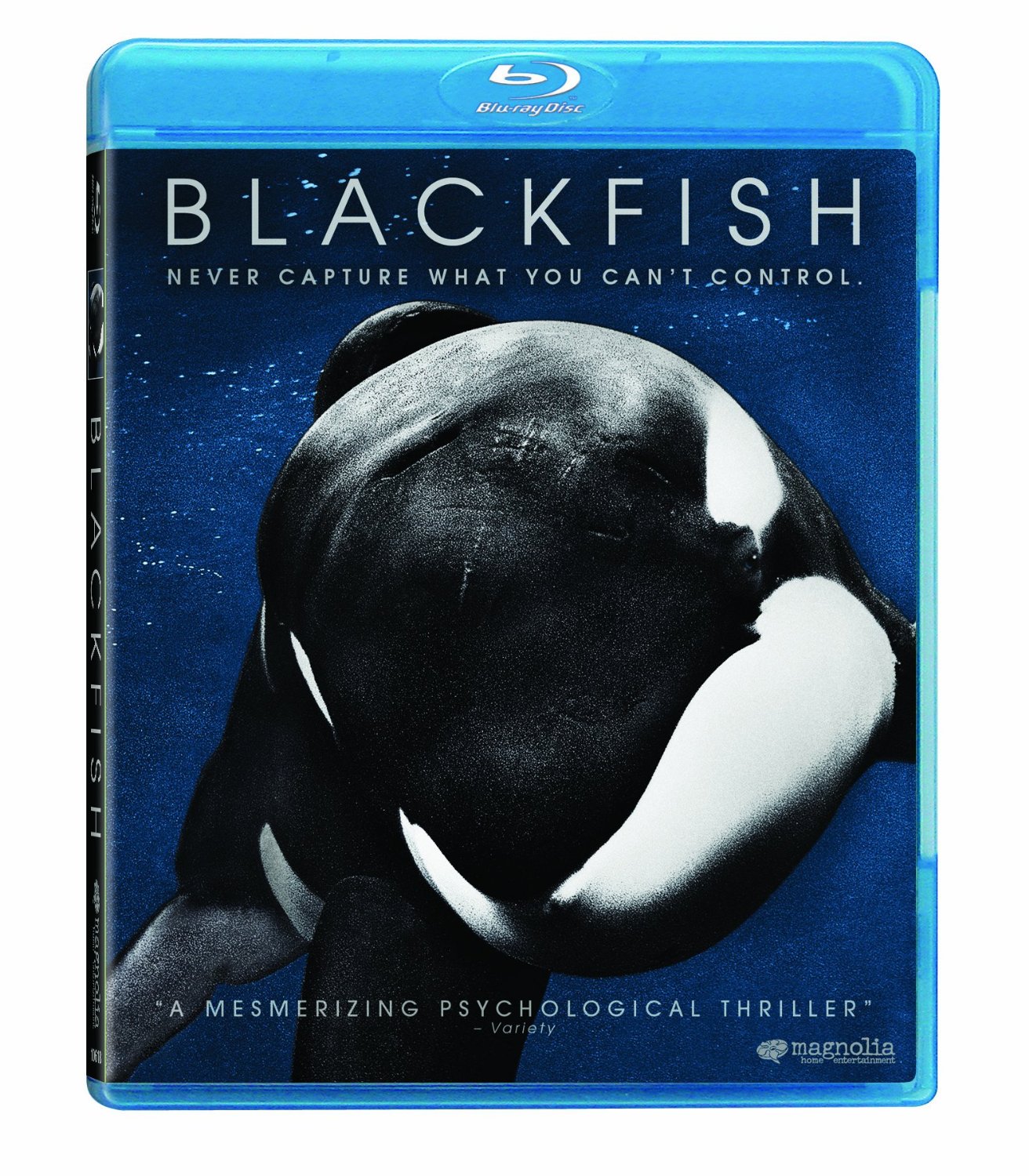 blackfish