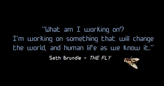 fly-quote