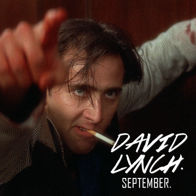 David-Lynch-Sept-Wild-at-Heart-sqr